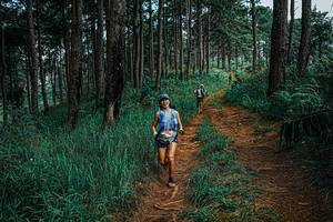 BIB: 
                            <button type="button" onclick="openModal(25660066)" class="btn btn-primary btn-sm float-right btn-popup" data-toggle="modal" data-target=".modal-high-quality">
                        <i class="fas fa-shopping-cart"></i> Add to Cart
                    </button>
                                            <button type="button" onclick="isThisMe(25660066, true)" class="btn btn-success btn-sm float-right btn-popup btn-isme hidden" data-toggle="tooltip" data-placement="bottom" title="นี่คือรูปของคุณใช่ไหม คลิกที่นี่เพื่อเอาเข้าอัลบั้ม">
                        <i class="fas fa-plus"></i> Add to album
                    </button>
                    <button type="button" onclick="isThisMe(25660066, false)" class="btn btn-warning btn-sm float-right btn-popup btn-isnotme hidden">
                        <i class="fas fa-ban"></i> Remove from album
                    </button>